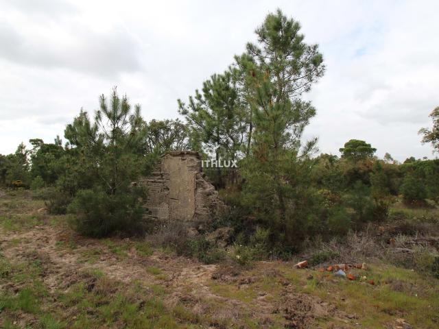Quinta venda em Grândola, Setúbal