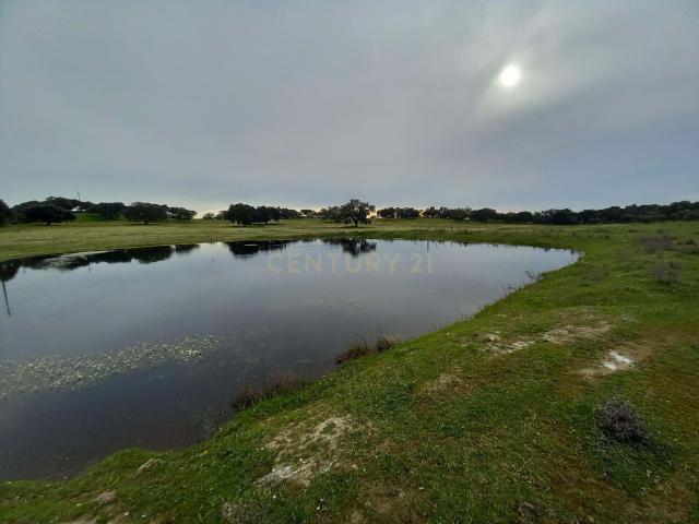 Quinta venda em Castelo Branco, Idanha-a-nova
