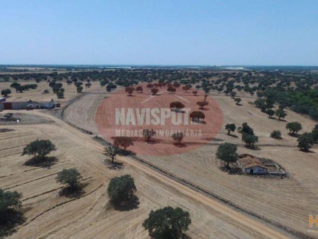 Terreno venda em Ferreira Do Alentejo, Beja