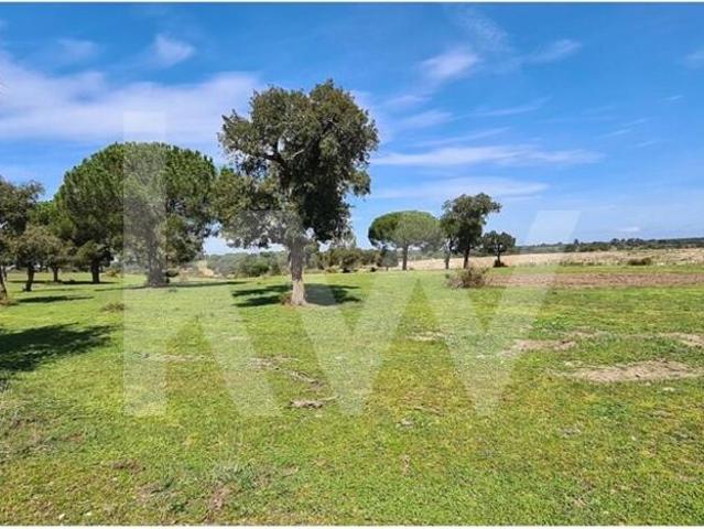 Quinta venda em Benavente, Santarém