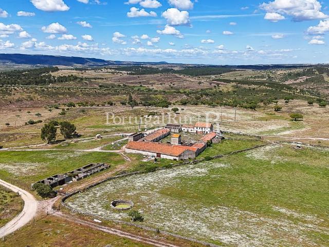 Vivenda venda em Castelo Branco, Vila Velha De Ródão
