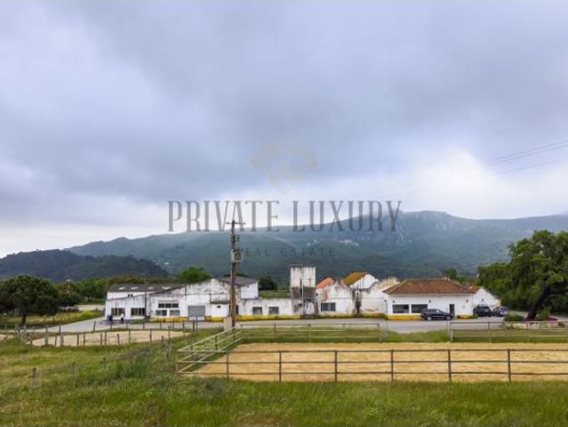 Quinta venda em Azeitão (São Lourenço e São Simão), Setúbal