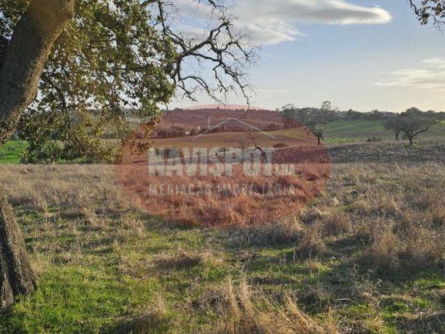Terreno venda em Reguengos De Monsaraz, Évora