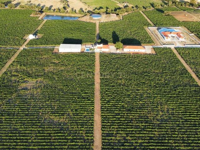 Quinta venda em Redondo, Évora
