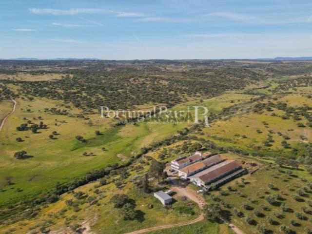 Casa venda em Monforte da Beira, Castelo Branco