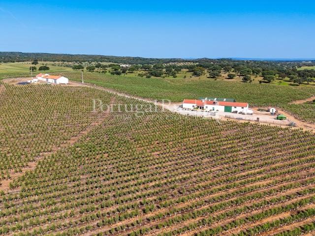 Vivenda venda em Évora