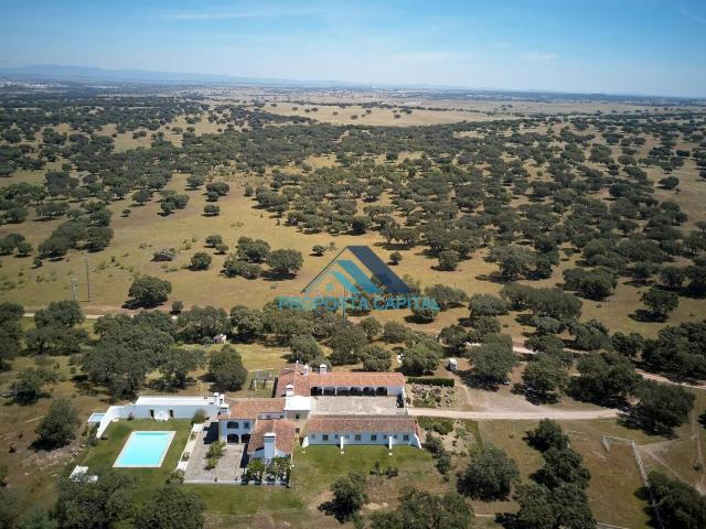 Casa venda em Monforte