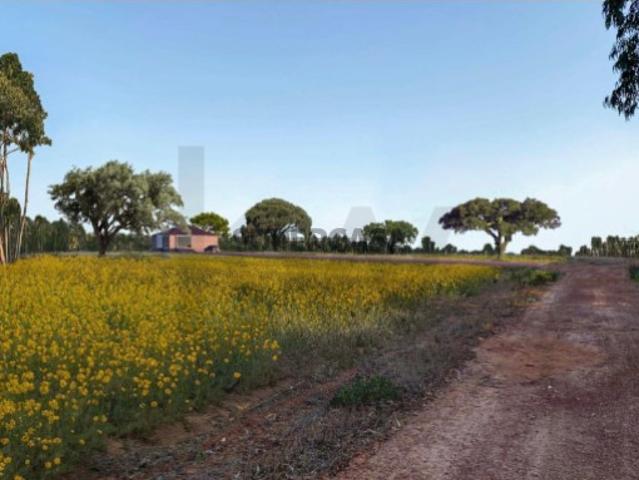 Casa venda em Odemira, Beja
