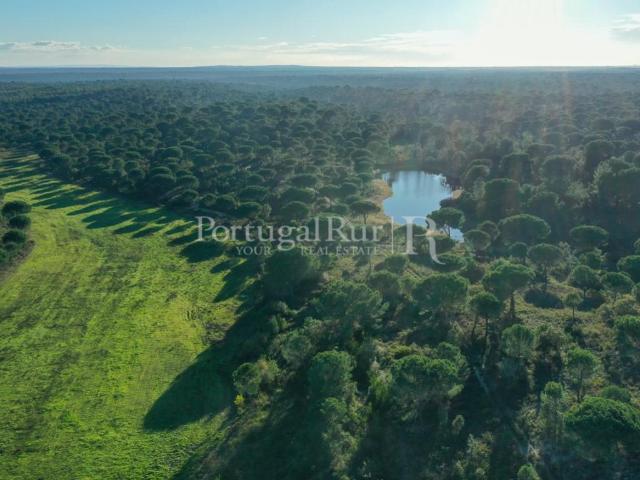 Vivenda venda em Vendas Novas, Évora