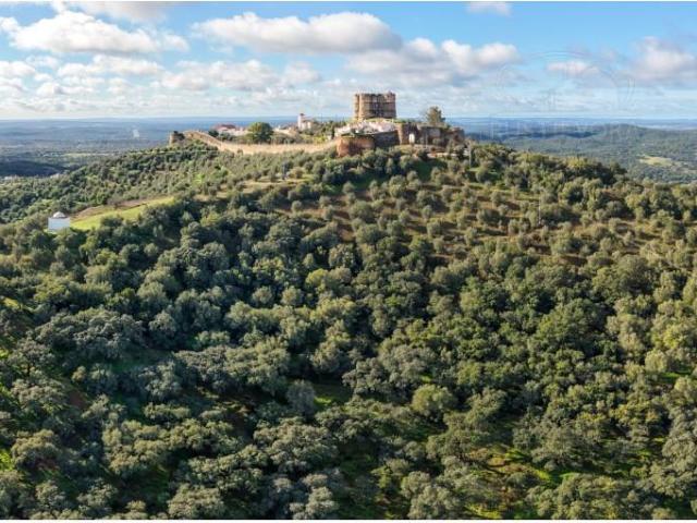 Vivenda venda em Évora Monte (Santa Maria), Estremoz