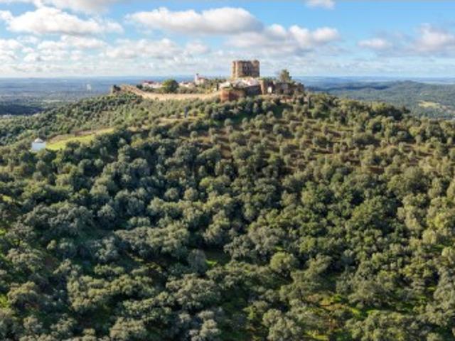 Casa venda em Évora Monte (Santa Maria), Estremoz