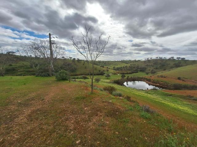 Quinta venda em Serpa, Beja