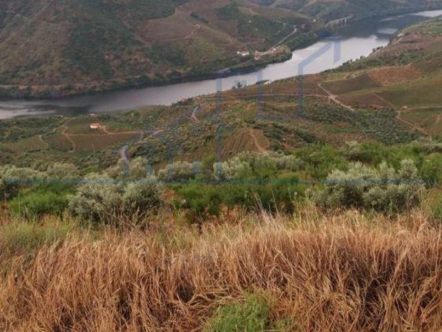 Terreno venda em Torre De Moncorvo, Bragança