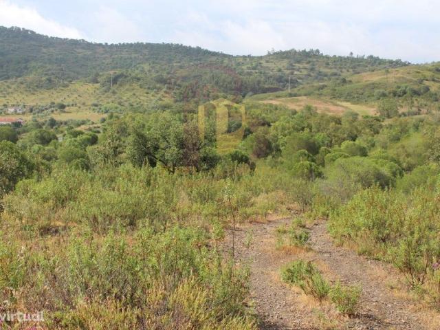 Quinta venda em São Bartolomeu De Messines, Faro