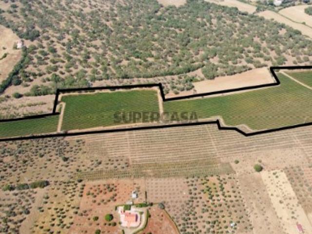 Terreno venda em Estremoz, Évora