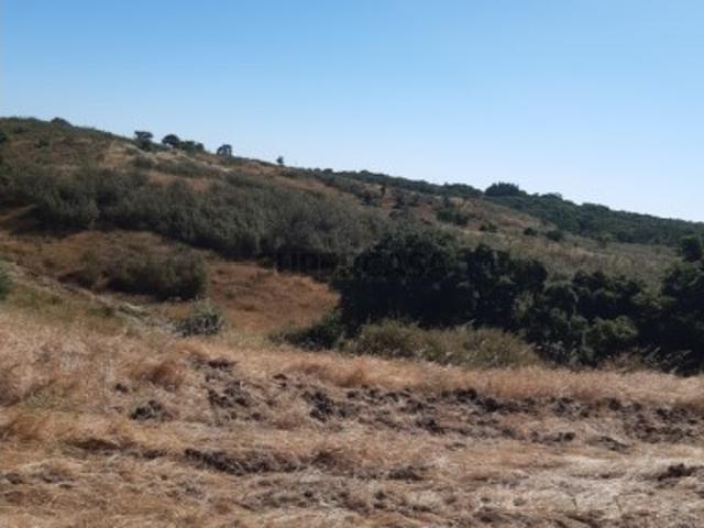 Casa venda em Vale de Santiago, Odemira