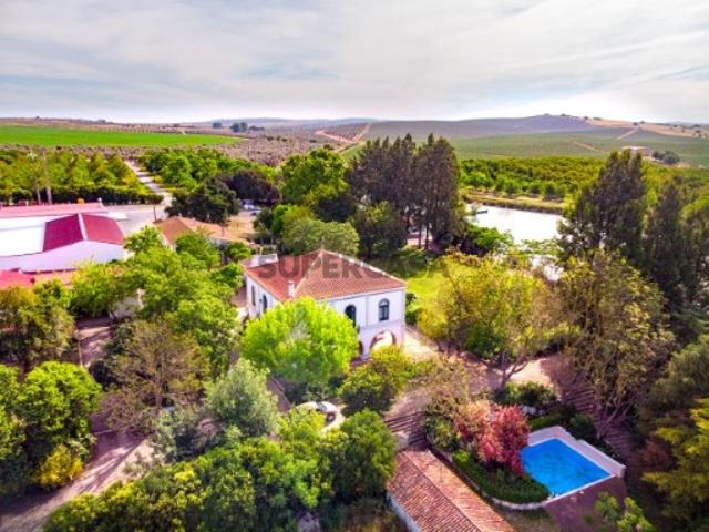 Casa venda em Ferreira Do Alentejo