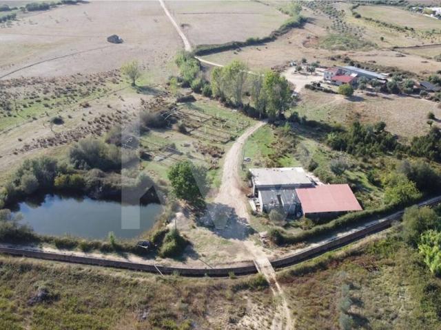 Quinta venda em Castelo Branco, Idanha-a-nova