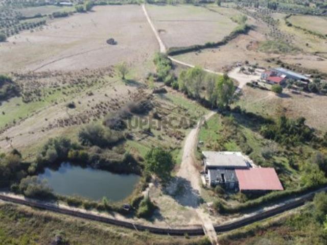 Terreno venda em Castelo Branco, Idanha-a-nova
