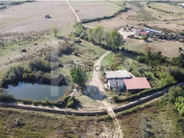 Casa venda em Castelo Branco, Idanha-a-nova