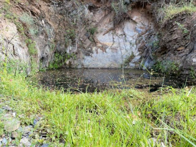 Terreno venda em Loulé, Faro