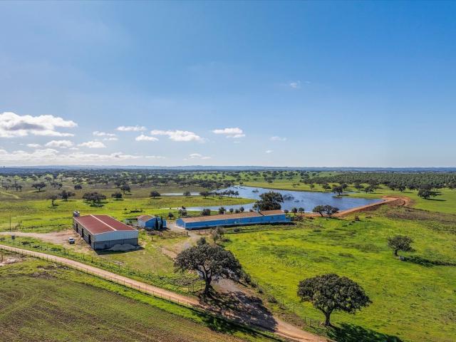Vivenda venda em Ourique