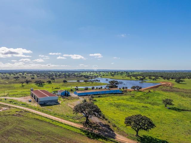 Quinta venda em Ourique, Beja