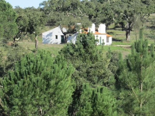 Casa venda em Mora, Évora
