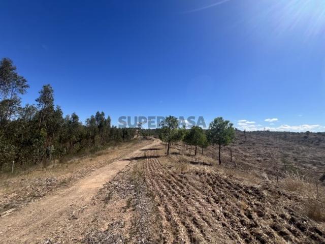 Terreno venda em Alcórrego e Maranhão, Avis