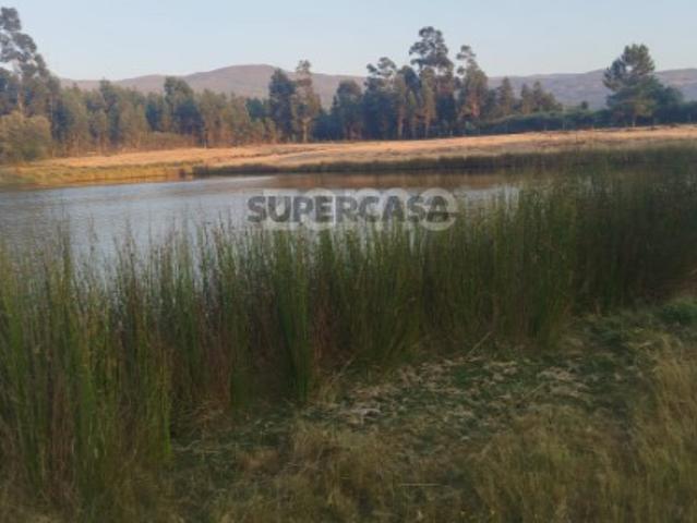Terreno venda em Guarda, Seia