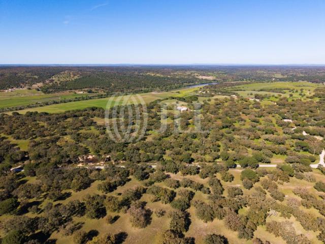 Terreno venda em Alcácer Do Sal, Setúbal
