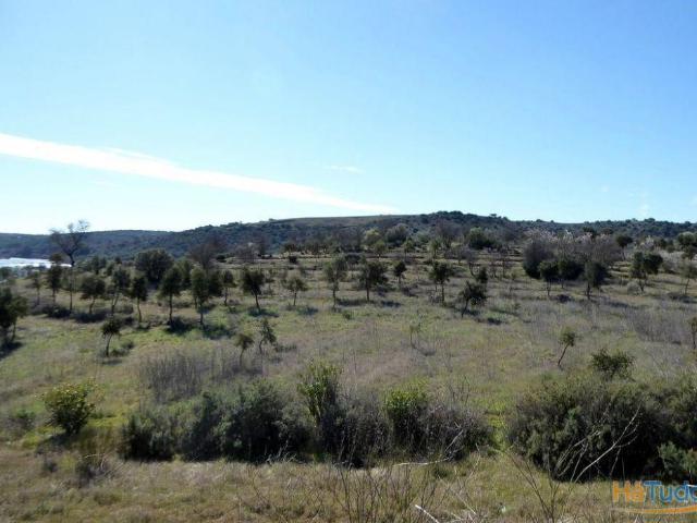 Terreno venda em Beja