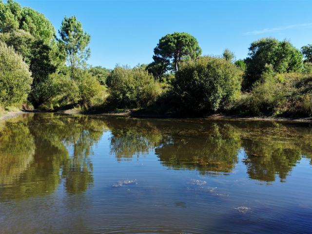 Vivenda venda em Avis, Portalegre