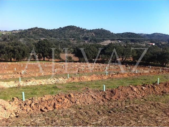 Terreno venda em Colos, Odemira