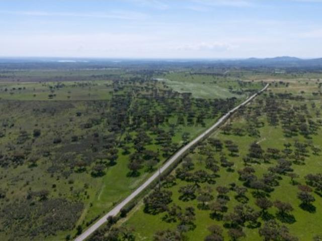 Terreno venda em Aldeia das Pias, Santiago Maior
