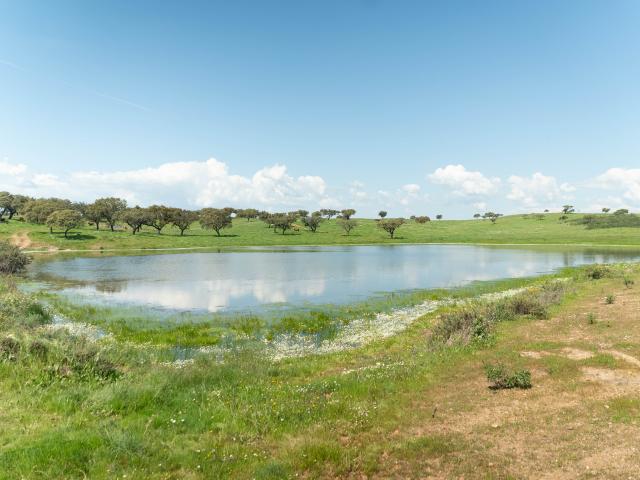 Terreno venda em Aldeia das Pias, Santiago Maior