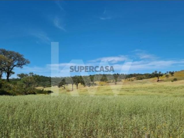 Terreno venda em Relíquias, Odemira