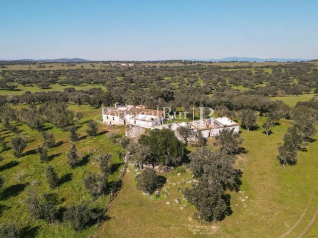 Vivenda venda em Monforte, Portalegre