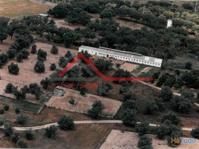 Quinta venda em Setúbal