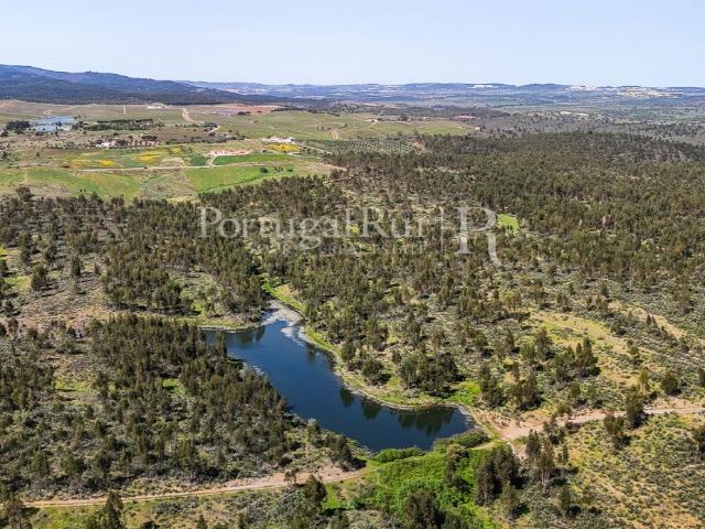 Vivenda venda em São Pedro Terena, Évora
