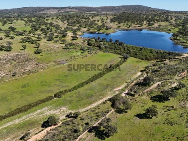 Terreno venda em Castelo Branco