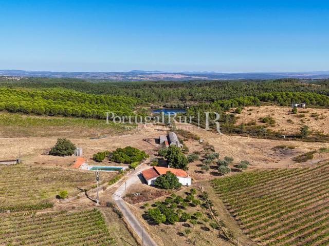 Vivenda venda em Benquerenças, Benquerenças de Baixo