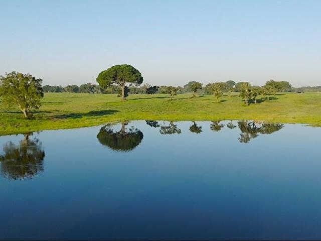 Vivenda venda em Palmela, Setúbal