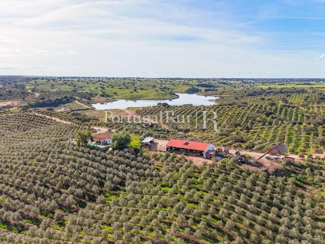 Vivenda venda em Cabeça Gorda, Beja
