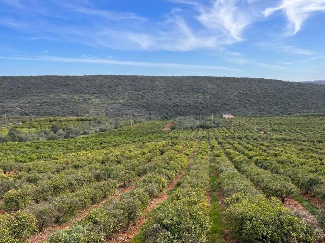 Vivenda venda em Loulé, Faro
