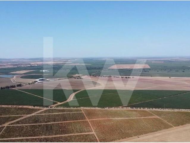 Terreno venda em Albernoa e Trindade, Beja