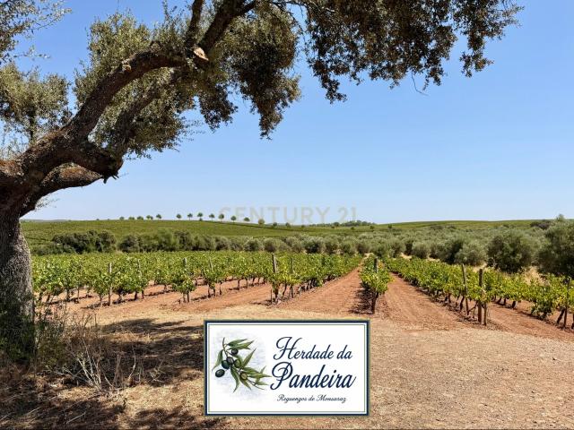 Quinta venda em Reguengos De Monsaraz, Évora