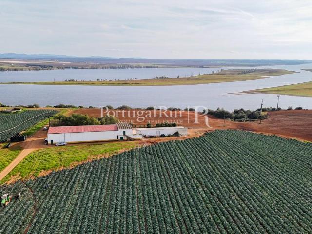 Vivenda venda em Évora