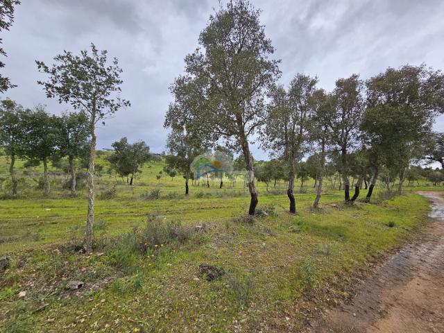 Casa venda em Reguengos De Monsaraz, Évora