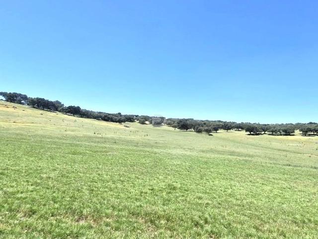 Quinta venda em Elvas, Portalegre